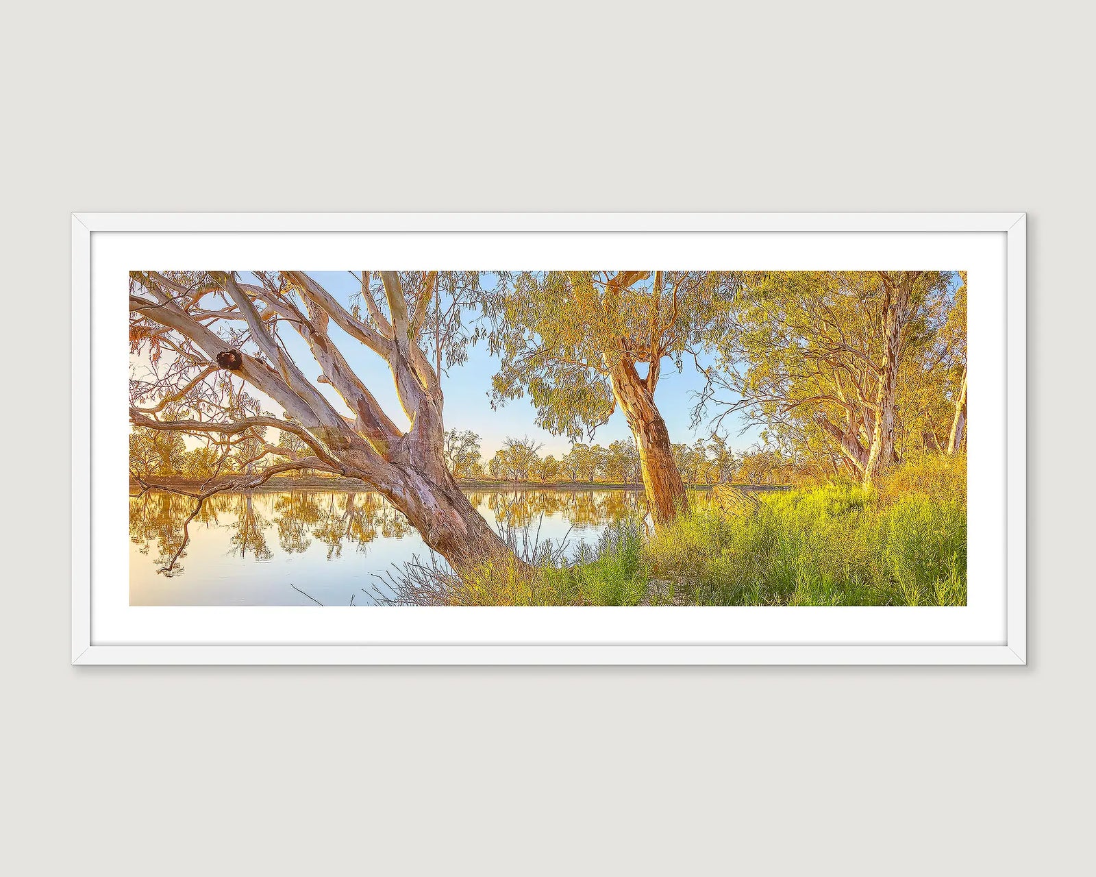 Framed landscape photograph of the Murray River with gum trees and a blue sky.