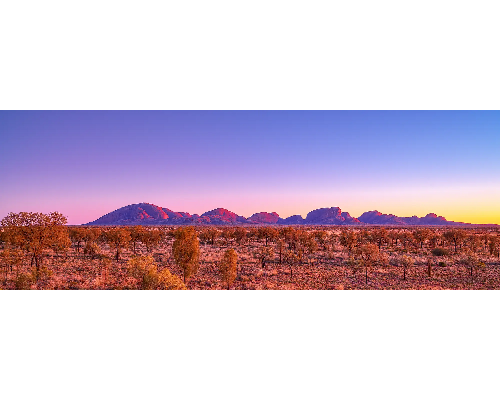 Sunrise over Kata Tjuta (The Olga's), Uluru-Kata Tjuta National Park, NT.