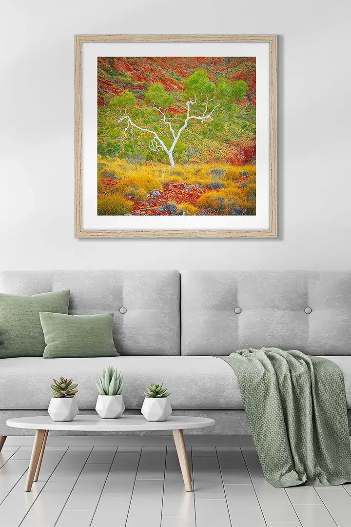 Northern Territory wall art print collection.