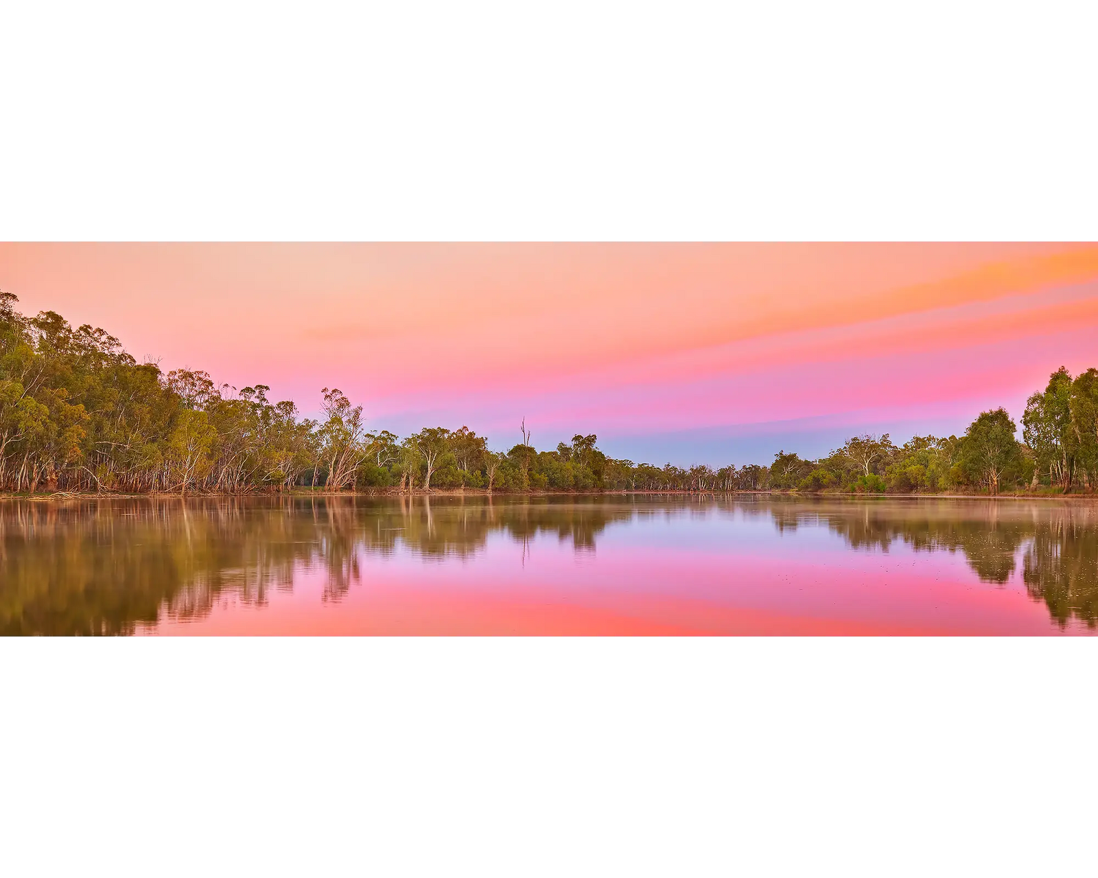 Pink sky at sunrise over the Murray River, South Australia. 