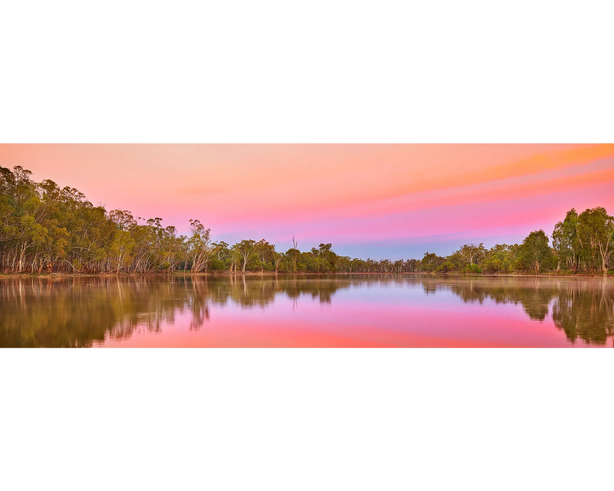 Oasis OF Serenity - pink sunrise over the Murray River, South Australia.