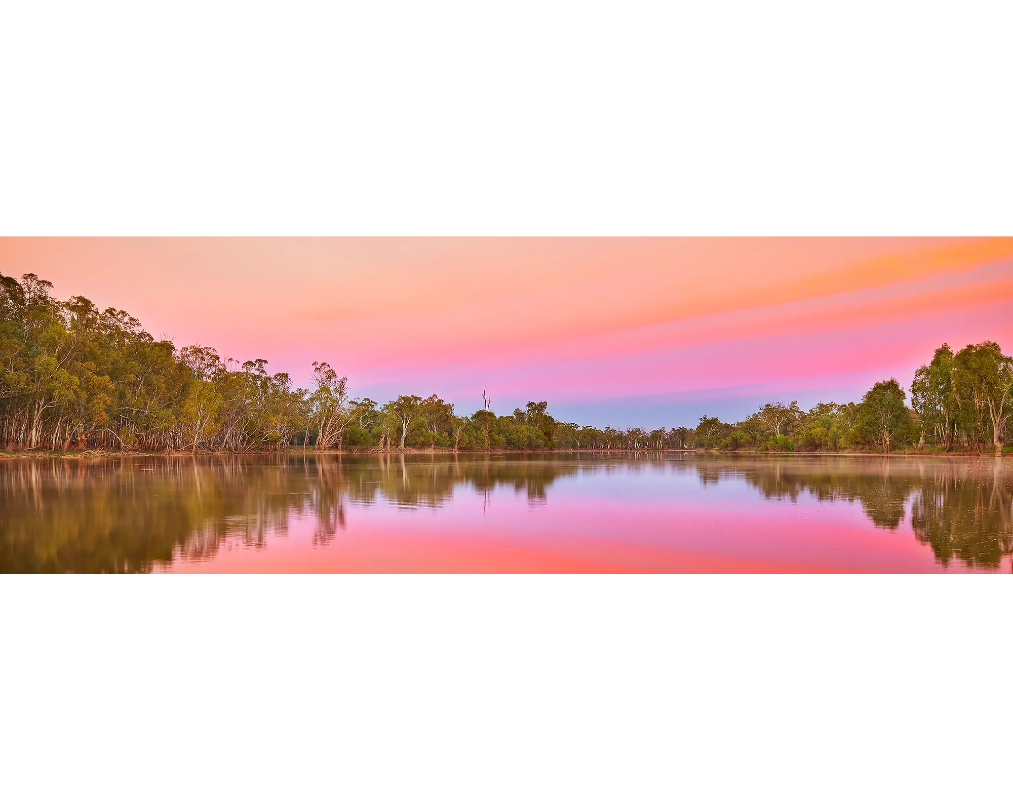 Oasis OF Serenity - pink sunrise over the Murray River, South Australia.