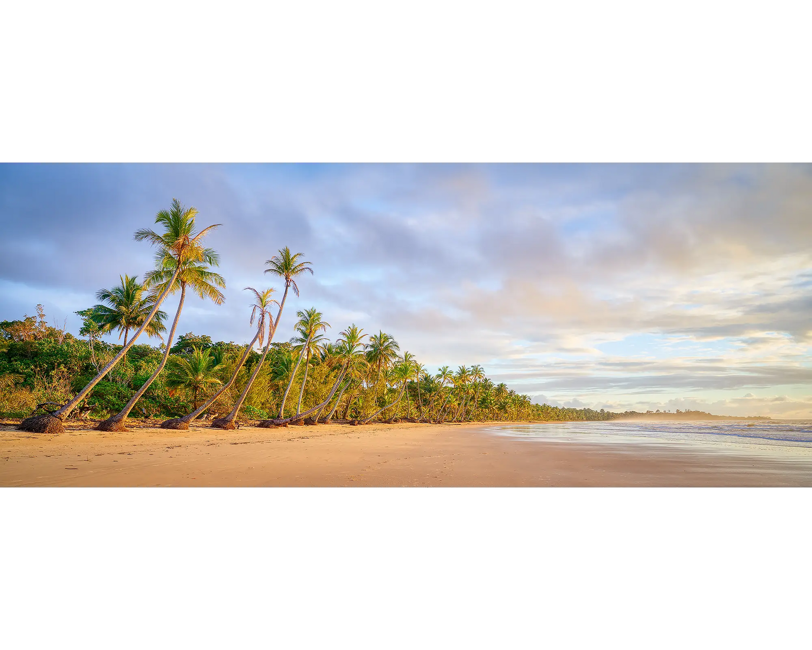 Ocean Breeze. Sunrise at Mission Beach, Queensland, with palm trees.