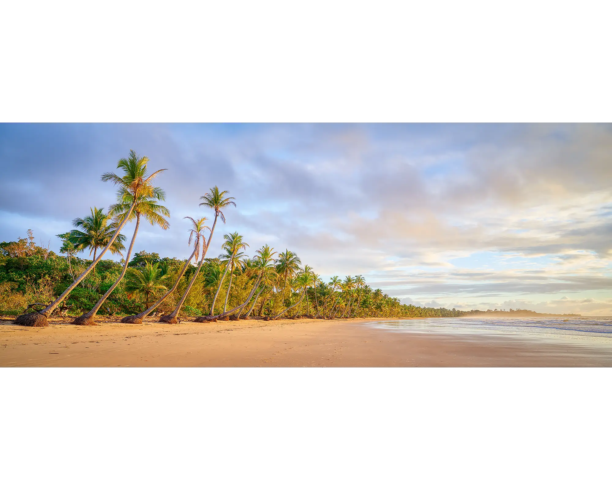 Ocean Breeze. Sunrise at Mission Beach, Queensland, with palm trees.