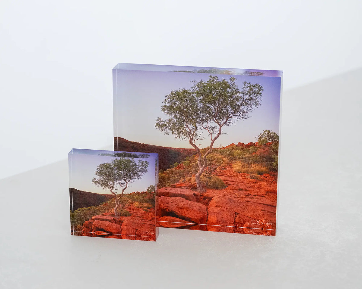 On The Edge. Kings Canyon, Watarrka National Park, Northern Territory, 10cm and 19cm acrylic blocks together on a desk.