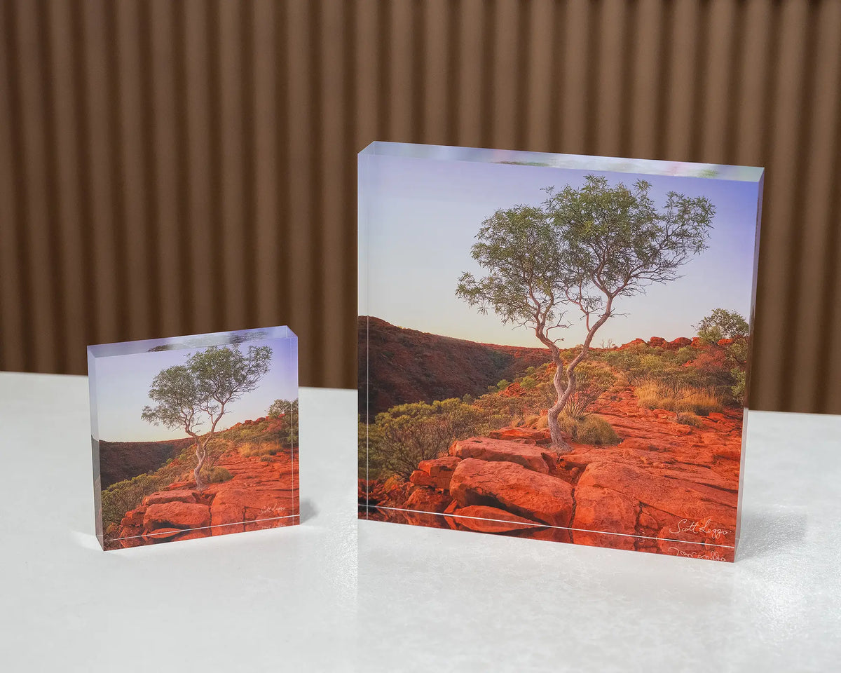 On The Edge. Kings Canyon, Watarrka National Park, Northern Territory, 19cm and 10cm acrylic blocks.