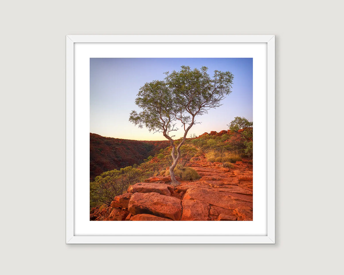 Framed artwork of a tree on red rocks with a sunset sky.