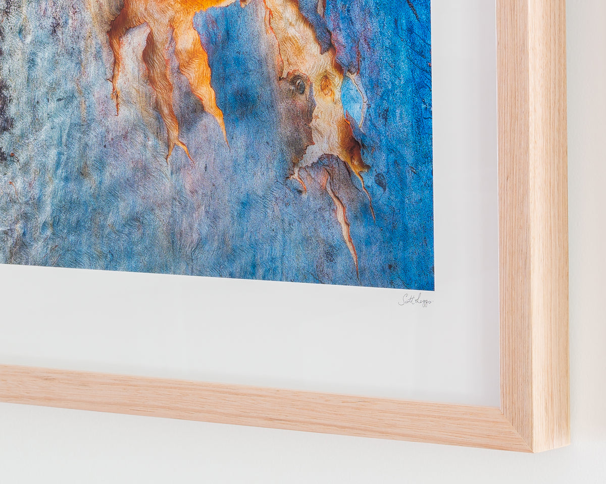 Opening. Gum tree bark patterns with timber frame, corner close-up details.