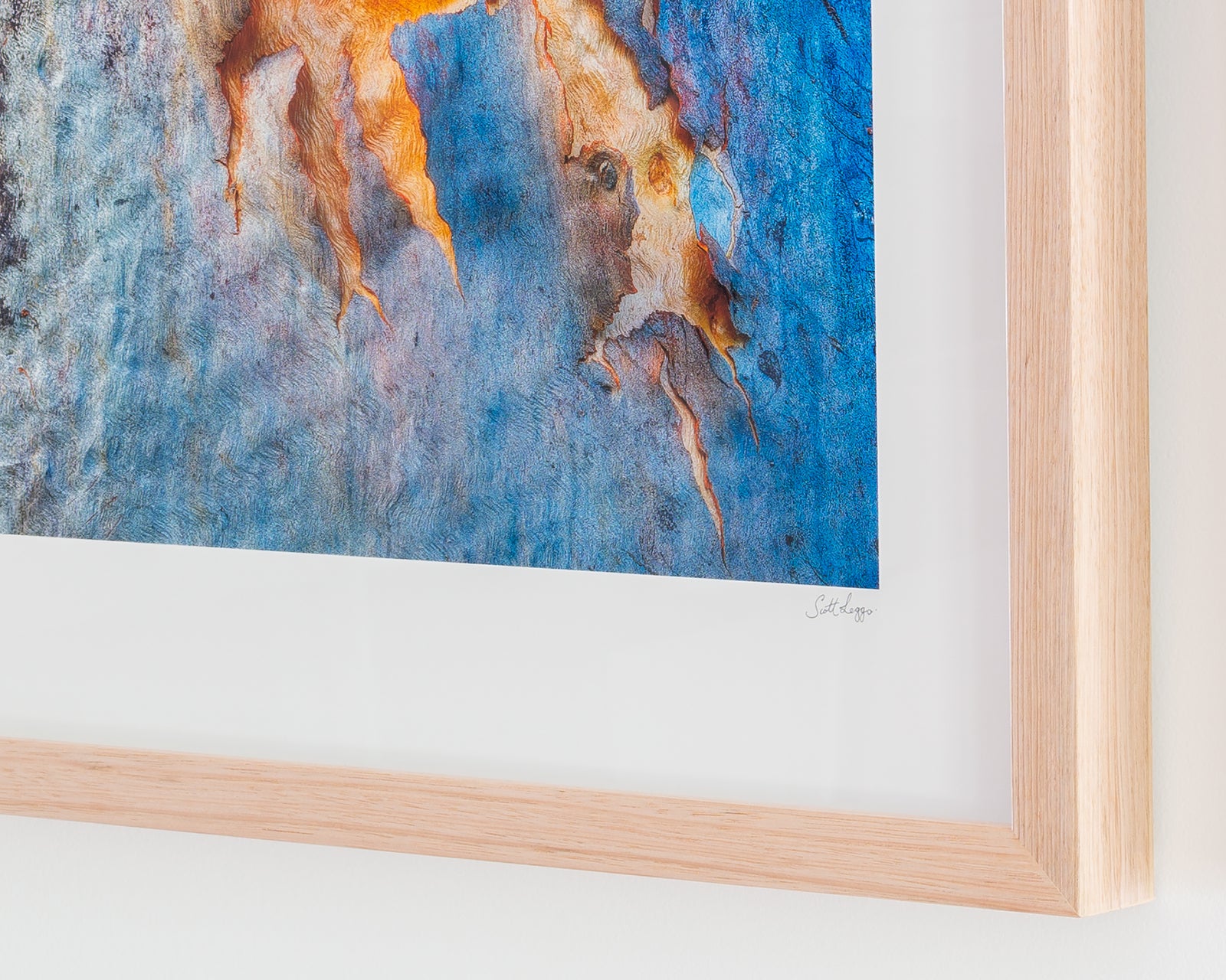 Framed abstract photograph of tree bark.