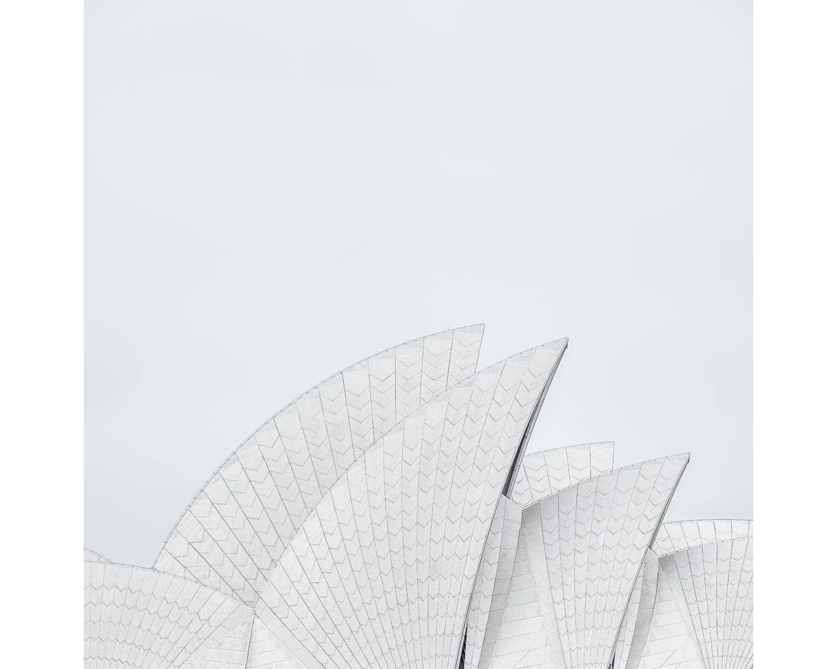 Opera House Curves. Minimalist view of Sydney Opera House sails.