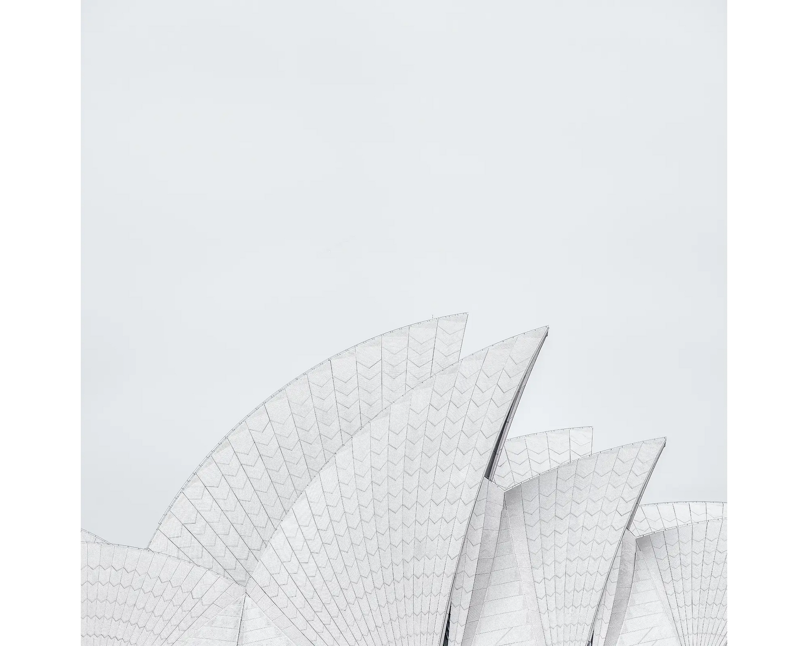 Opera House Curves. Minimalist view of Sydney Opera House sails.