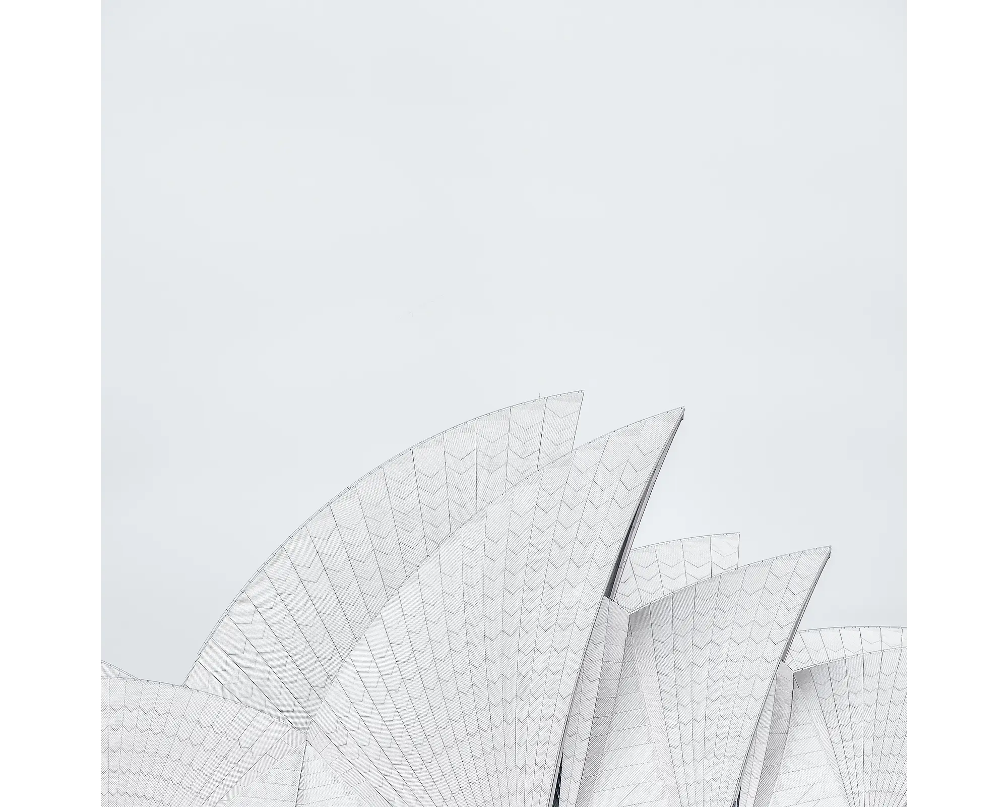 Opera House Curves. Minimalist view of Sydney Opera House sails.
