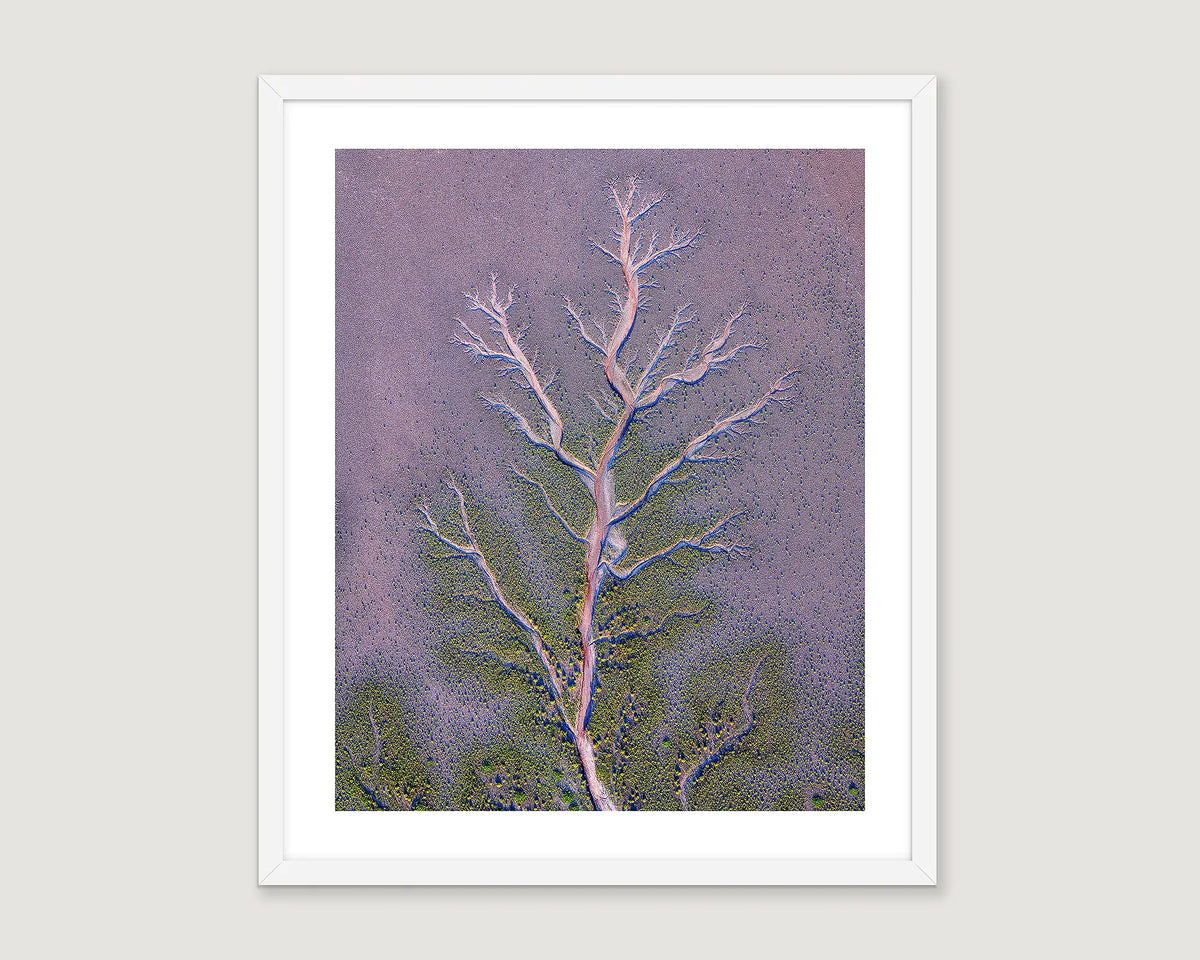 Framed abstract photograph with purple and green colours and a tree shape.