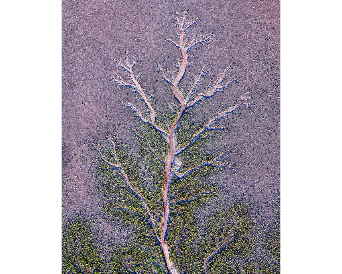 Origin - Kinf River viewed from above, The Kimberley, Western Australia.