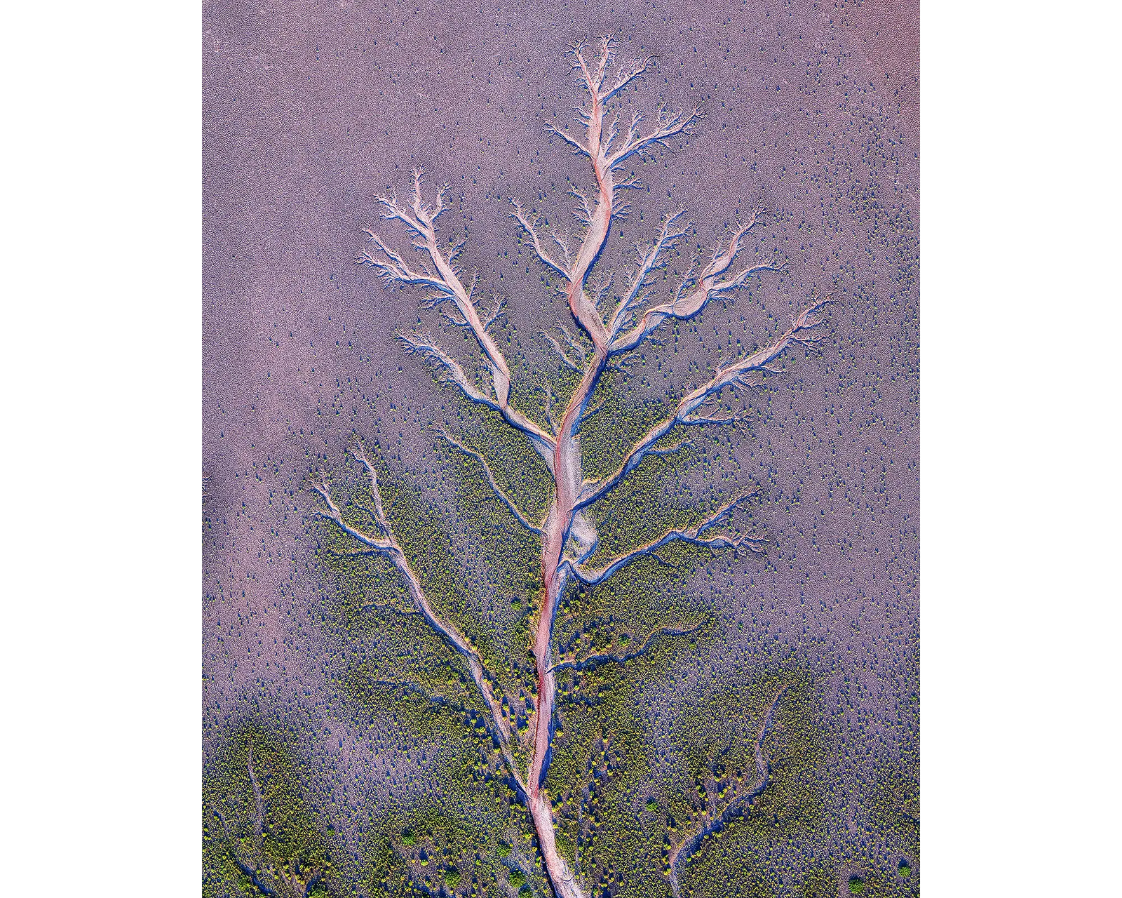Origin - Kinf River viewed from above, The Kimberley, Western Australia.