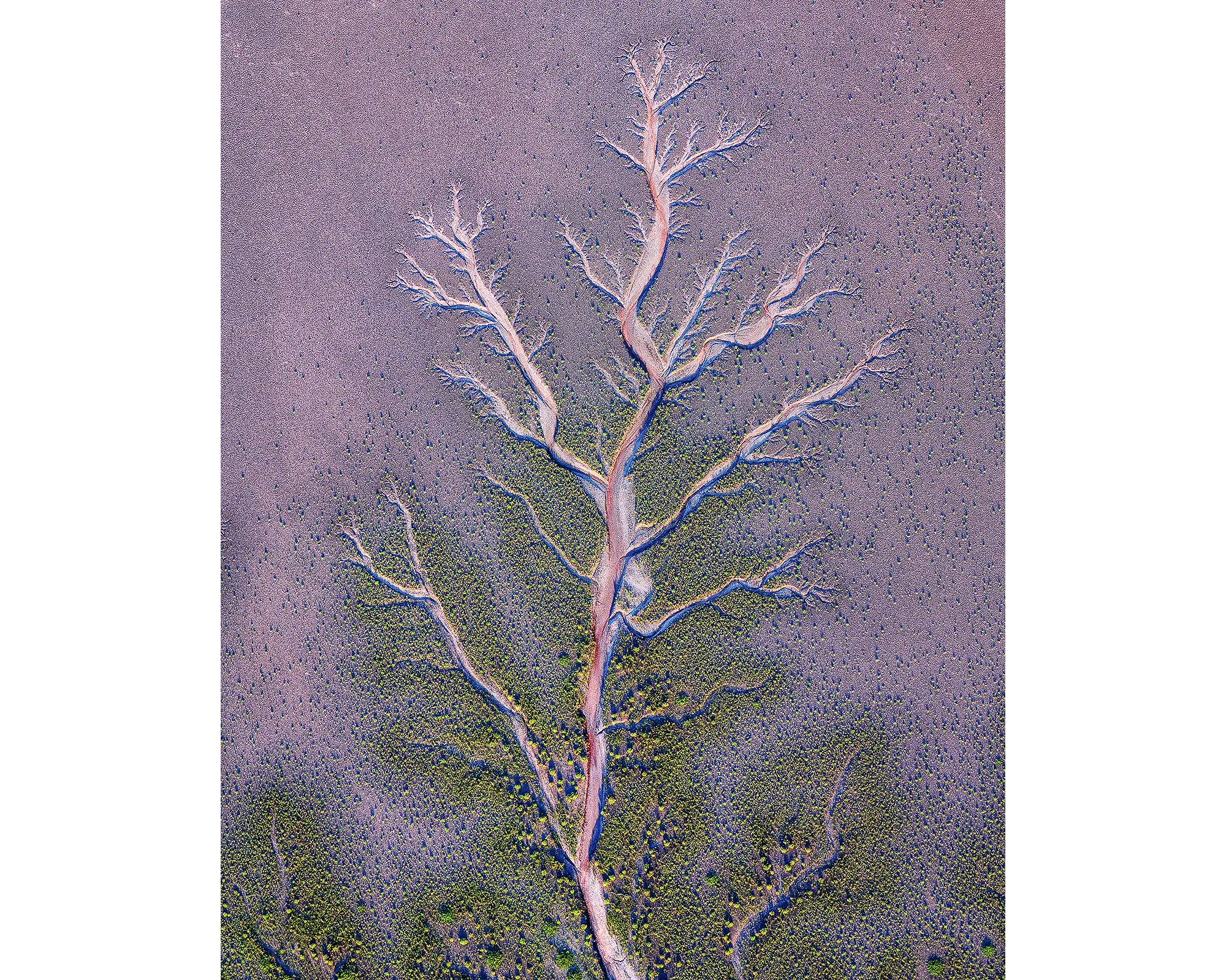 Origin - Kinf River viewed from above, The Kimberley, Western Australia.