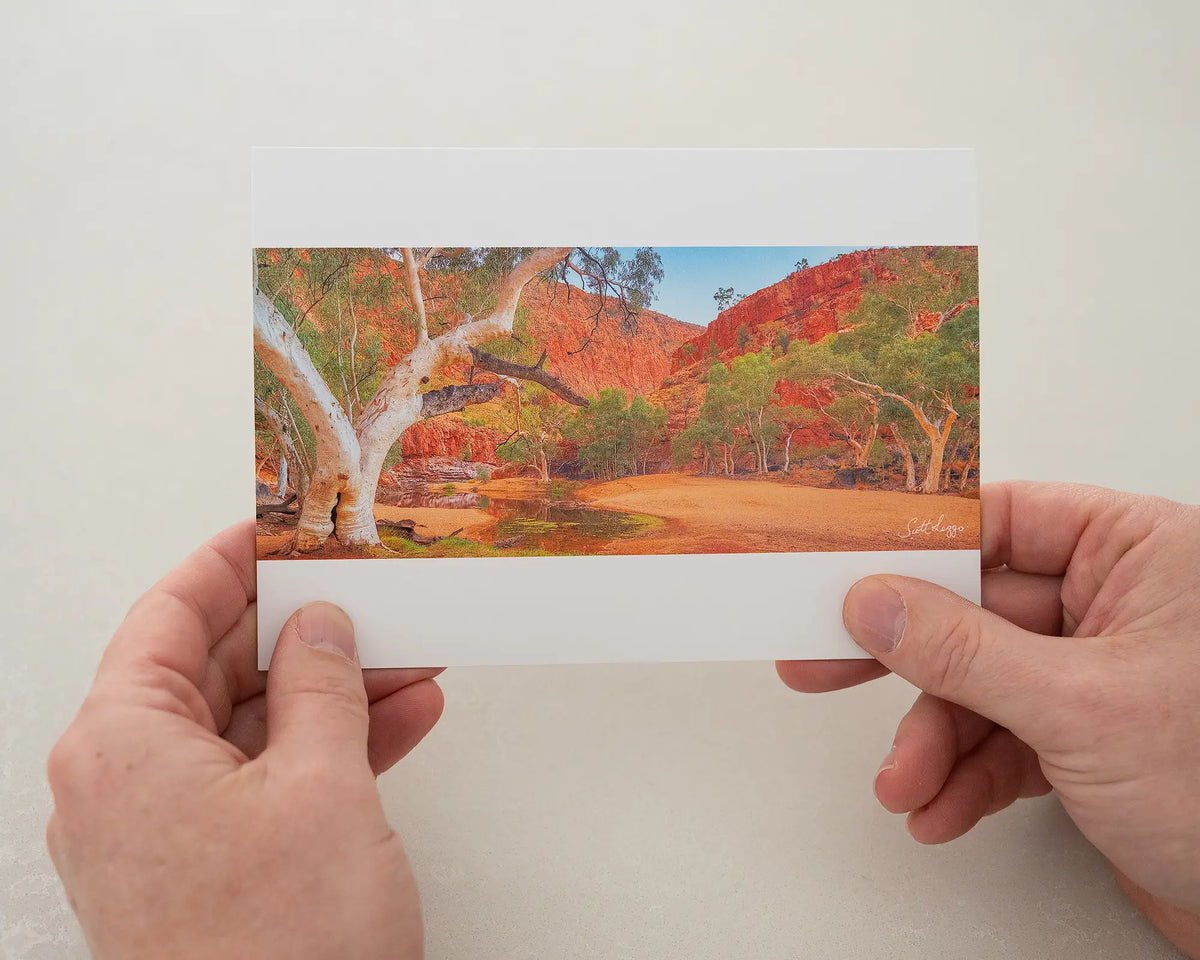 Ormiston Sanctuary greeting card of sunrise at Ormiston Gorge, being held.
