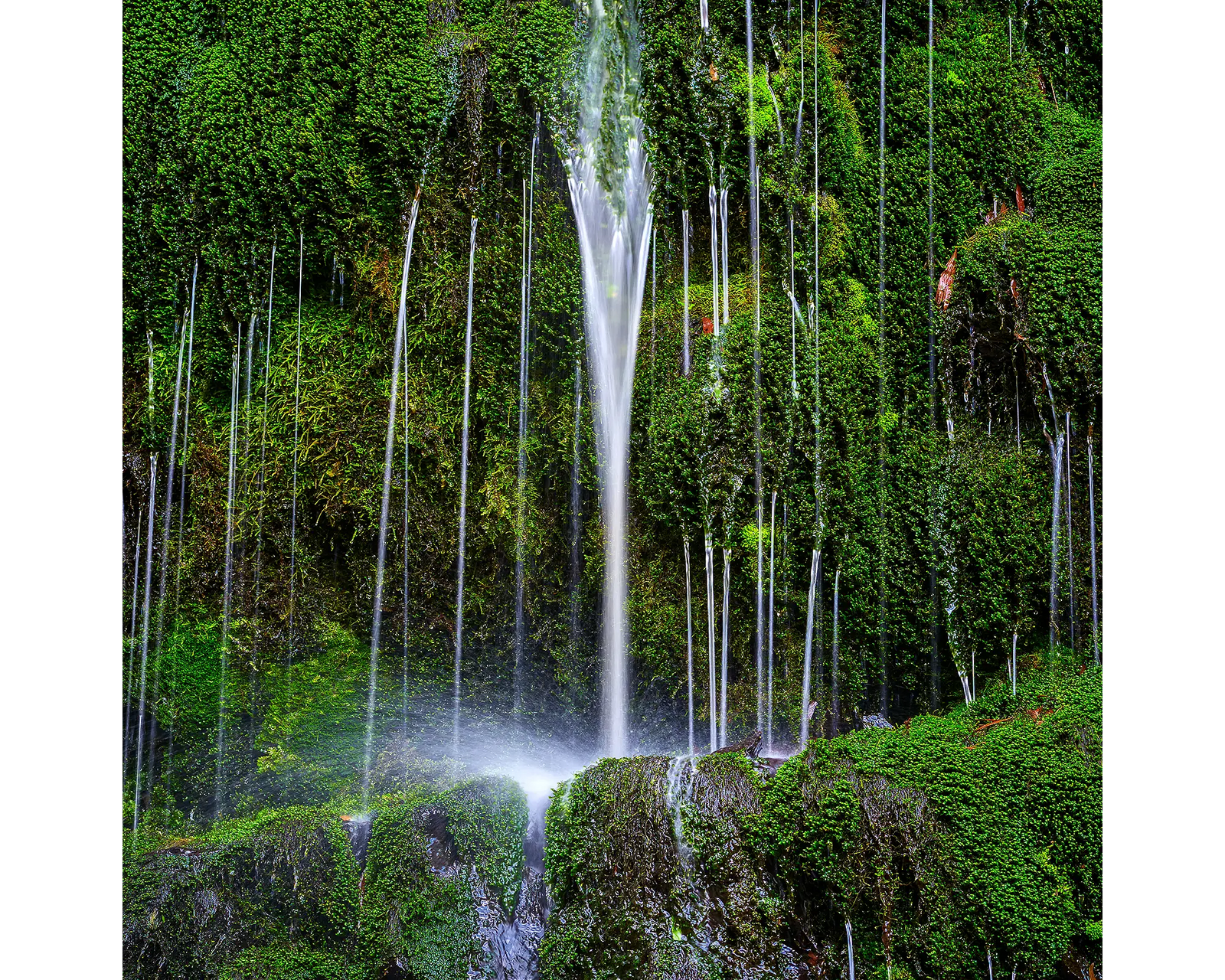 Otway Flow acrylic block - Erskine Falls, Great Otway National Park artwork. 