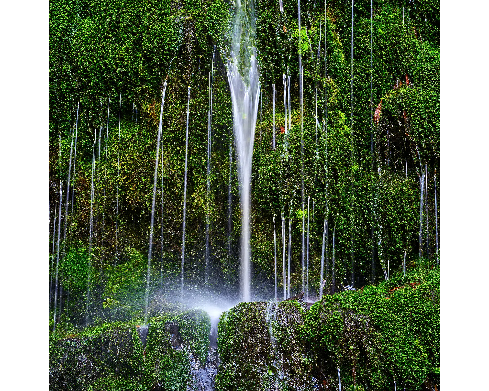 Otway Flow - Erskine Falls, Lorne, Victoria, Australia.