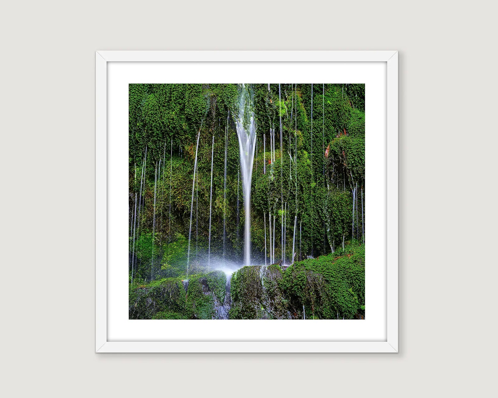 Framed photograph of a waterfall in a rainforest.