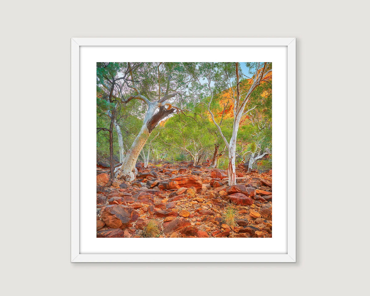 Outback Sanctuary wall art print with white frame of Kings Canyon.