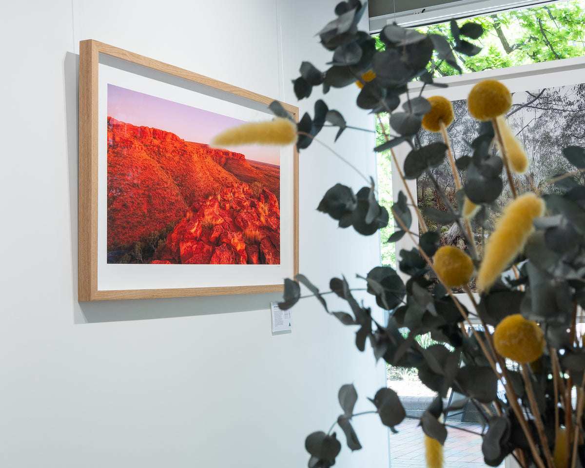 Outback Solitude. Sunset over Kings Canyon Northern Territory, with timber frame, hung in the gallery with flowers in the foreground.