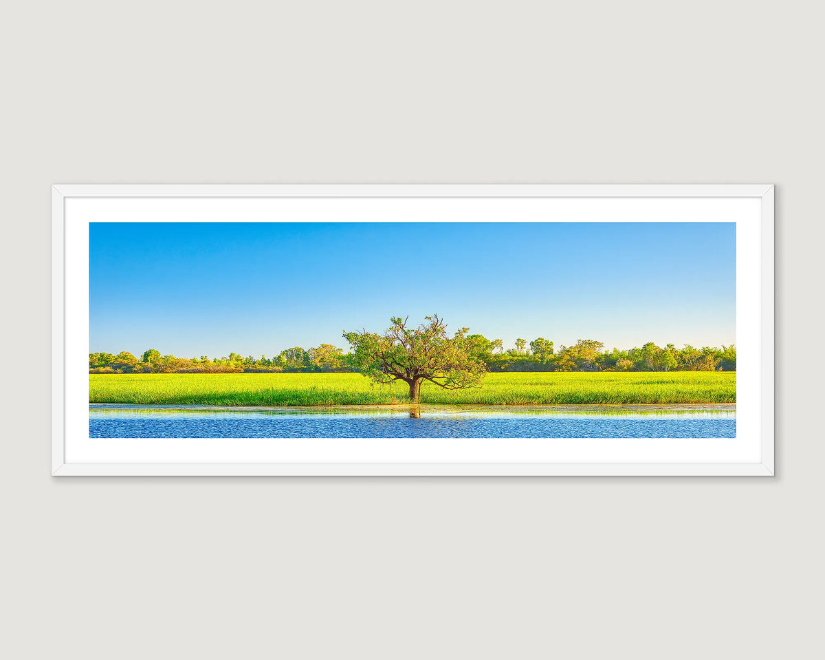 Framed photograph of trees and green grass and water.