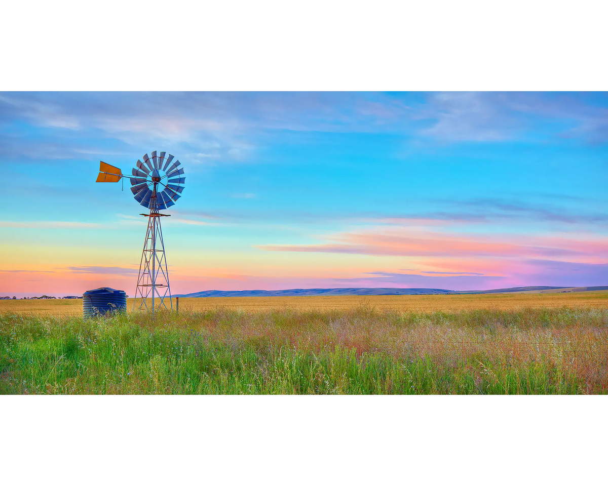 Painted Morning. Sunrise with windmill on a farm, South Australia.