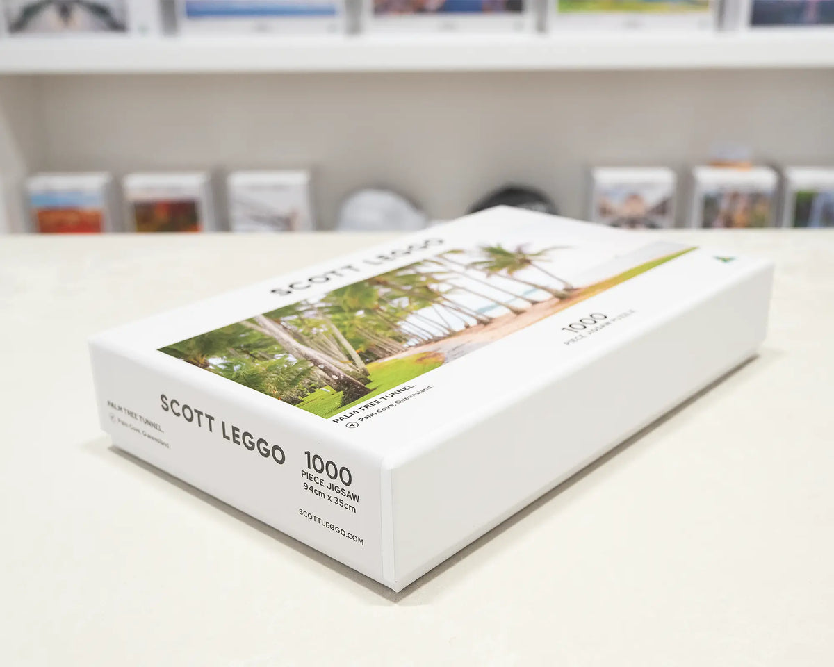 Palm Tree Tunnel. 1000 piece jigsaw puzzle of Palm Cove Queensland, laying flat on a table.
