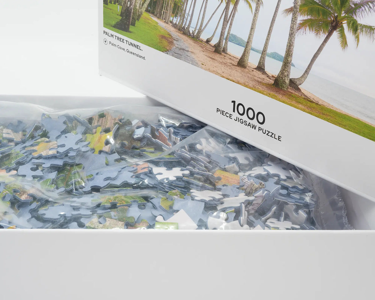 Palm Tree Tunnel. 1000 piece jigsaw puzzle of Palm Cove Queensland, open box showing puzzle pieces.