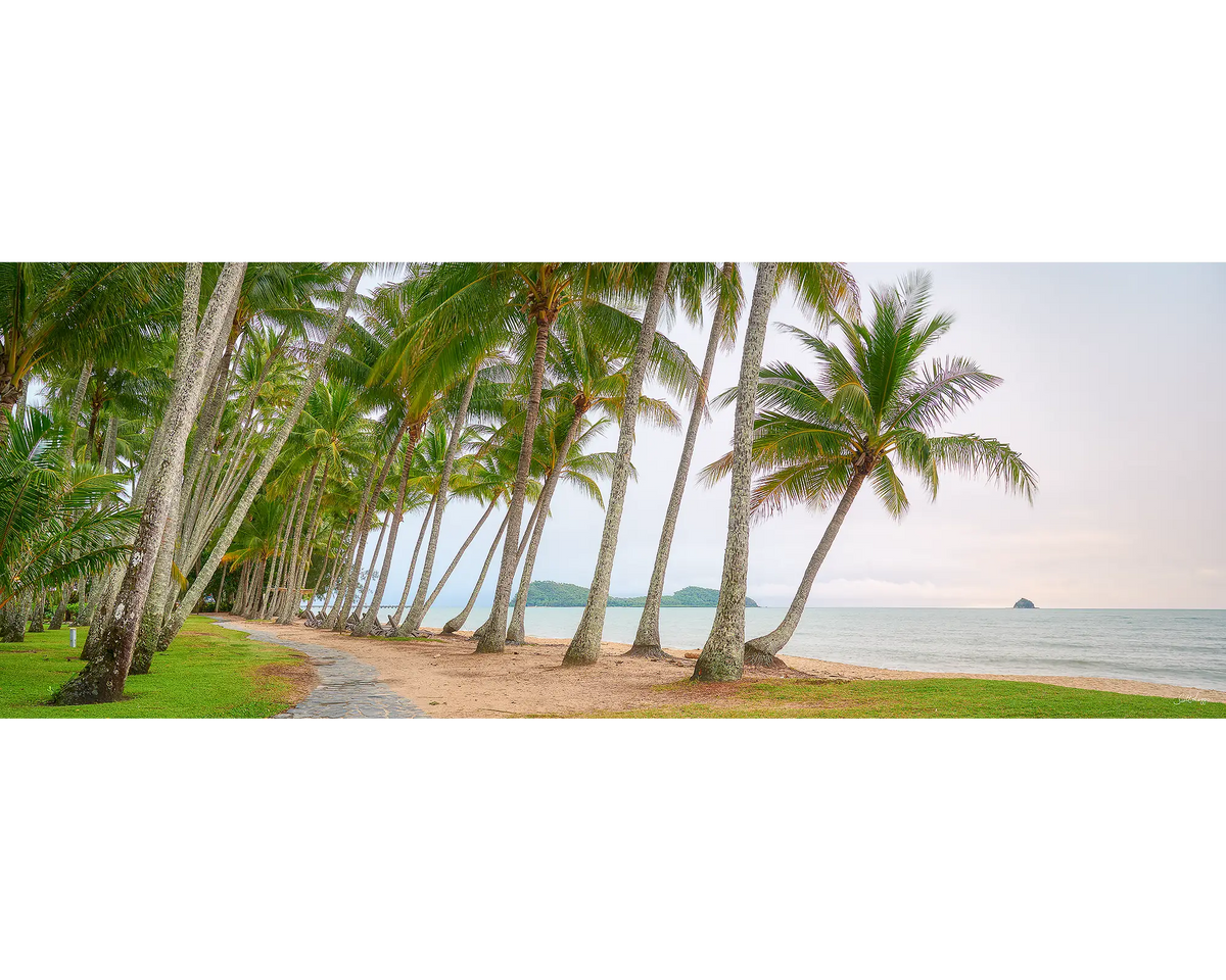 Palm Tree Tunnel. 1000 piece jigsaw puzzle reference image.
