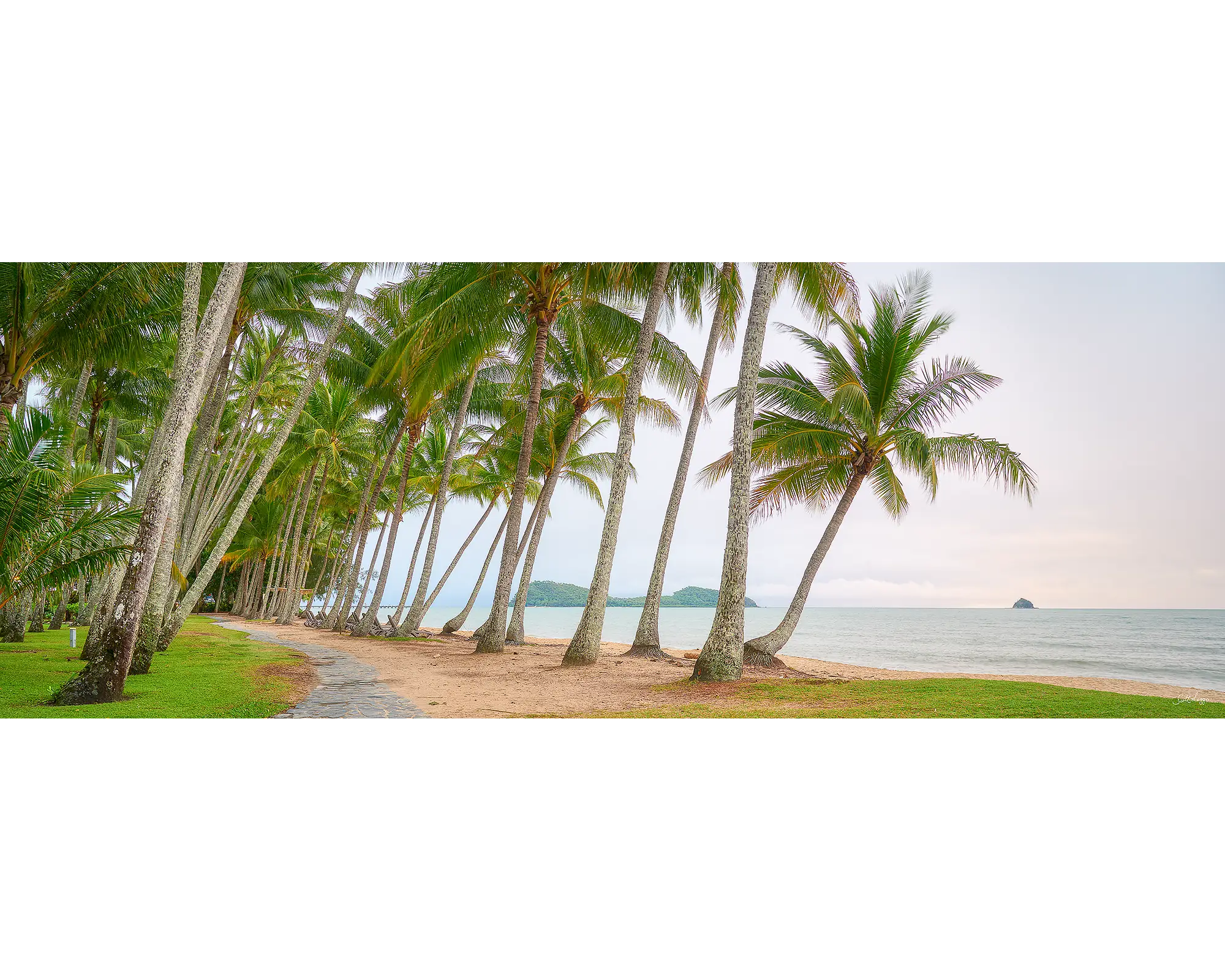 Palm Tree Tunnel. 1000 piece jigsaw puzzle reference image.