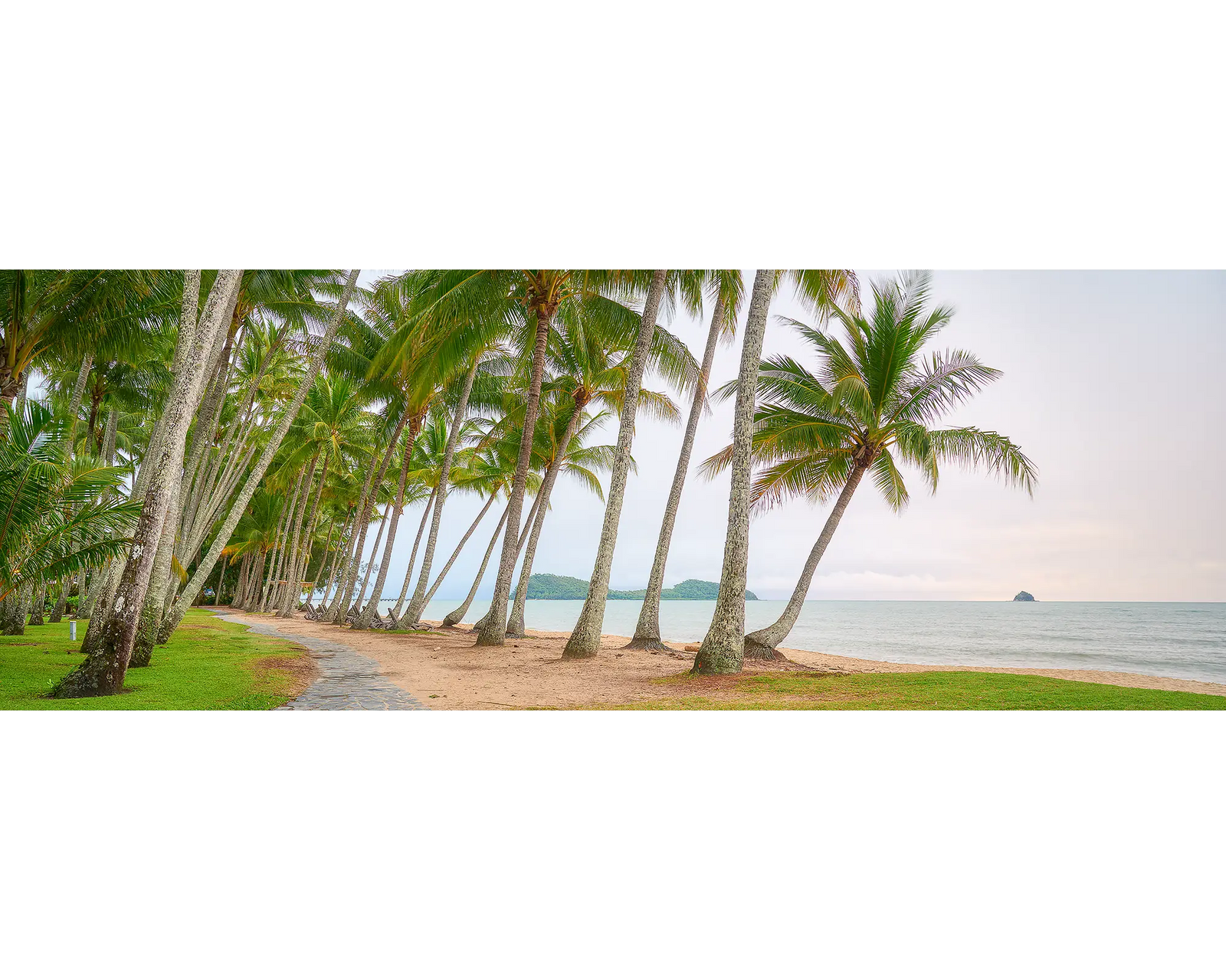 Palm Tree Tunnel, Palm Cove at sunrise, Queensland, Australia.
