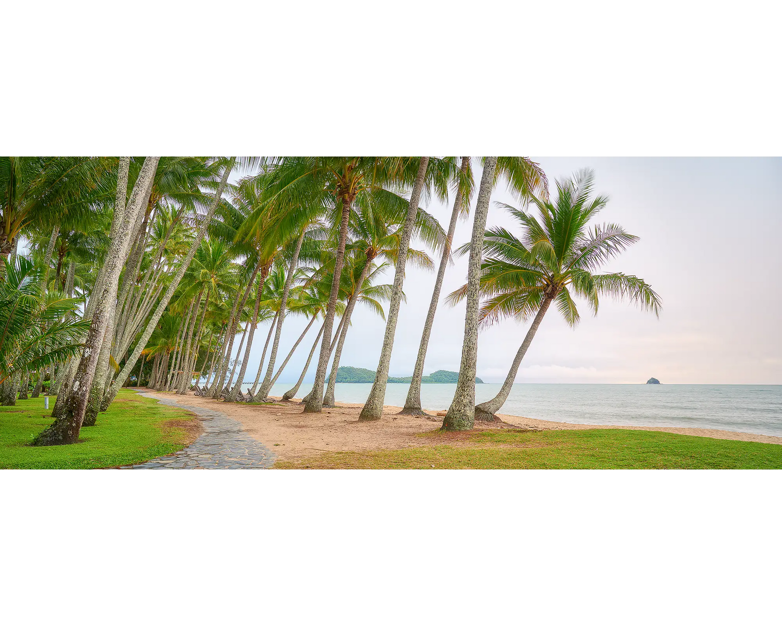Palm Tree Tunnel - Palm Cove at sunrise, Queensland.