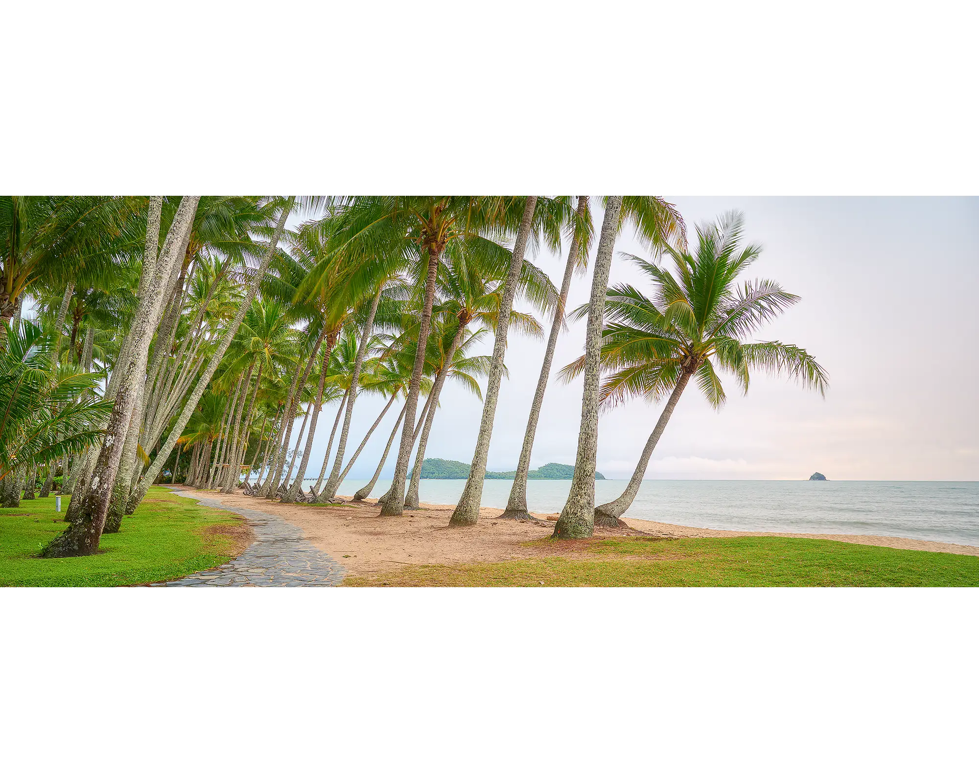 Palm Tree Tunnel - Palm Cove at sunrise, Queensland.