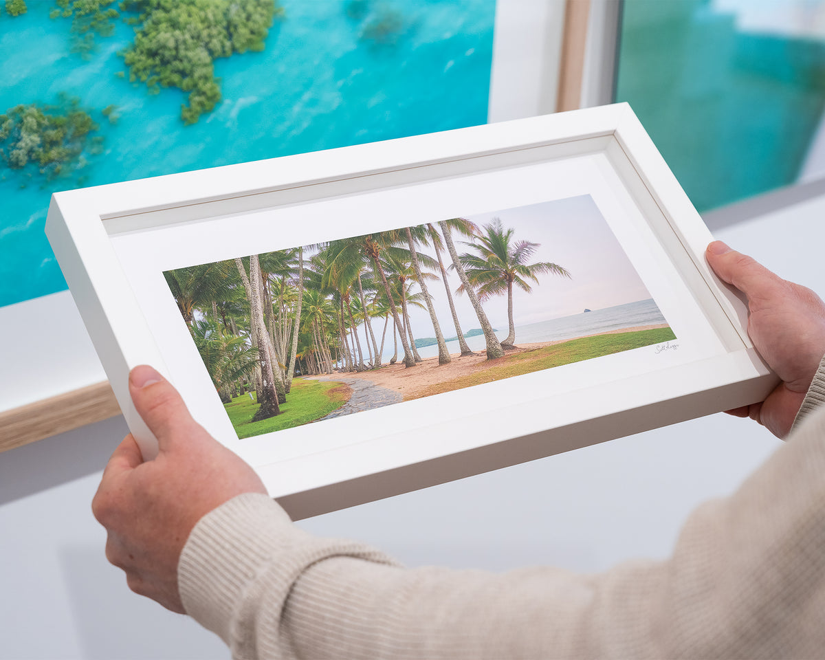 Palm Tree Tunnel. Palm Cove Queensland, with white frame, hand held in gallery.