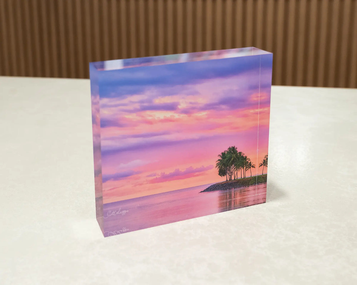 Paradise Palms. Acrylic block of Port Douglas Queensland, sitting on a desk.