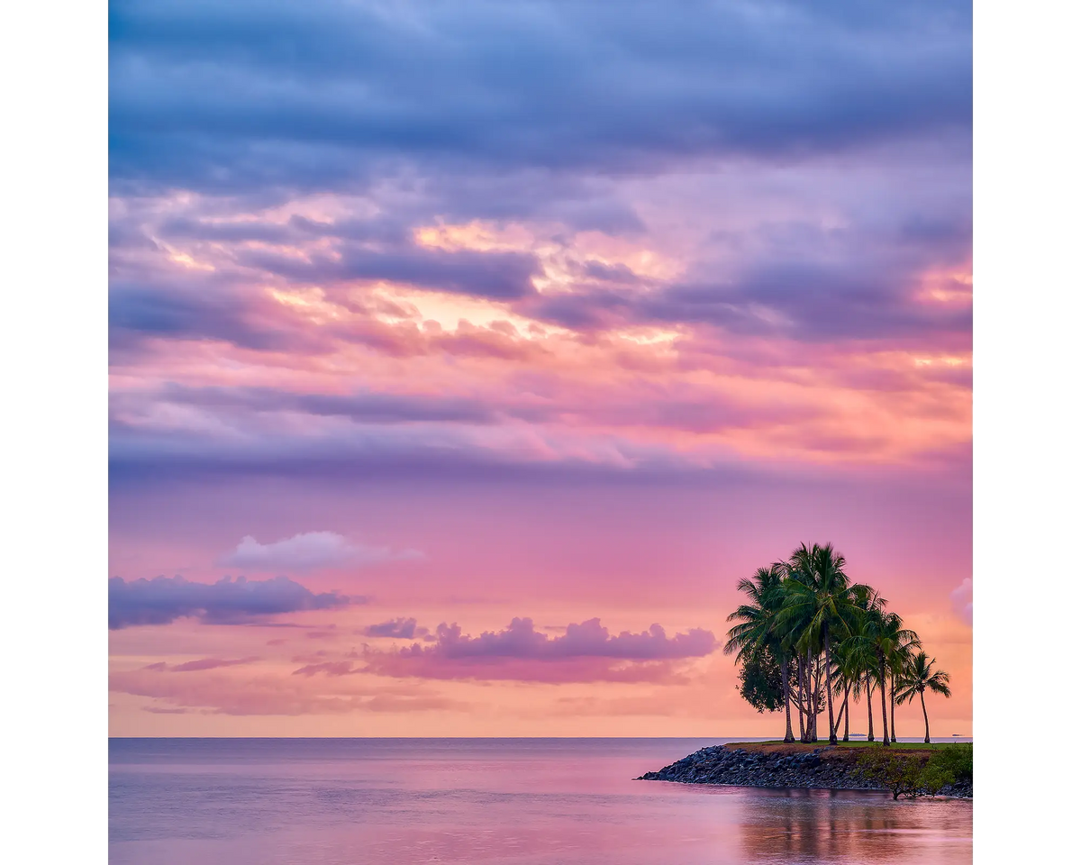 Paradise Palms. Sunrise at Port Douglas, Queensland, Australia.