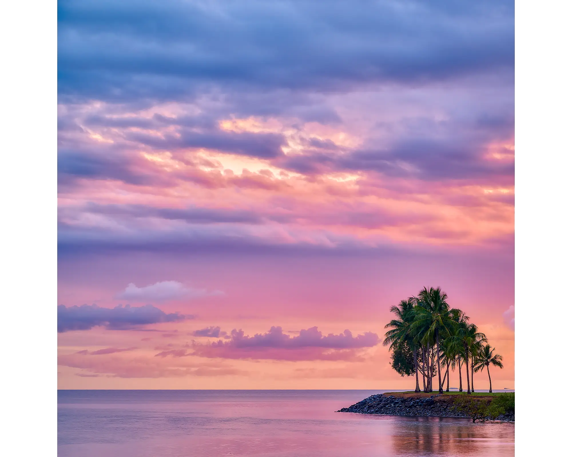 Paradise Palms. Sunrise at Port Douglas, Queensland, Australia.