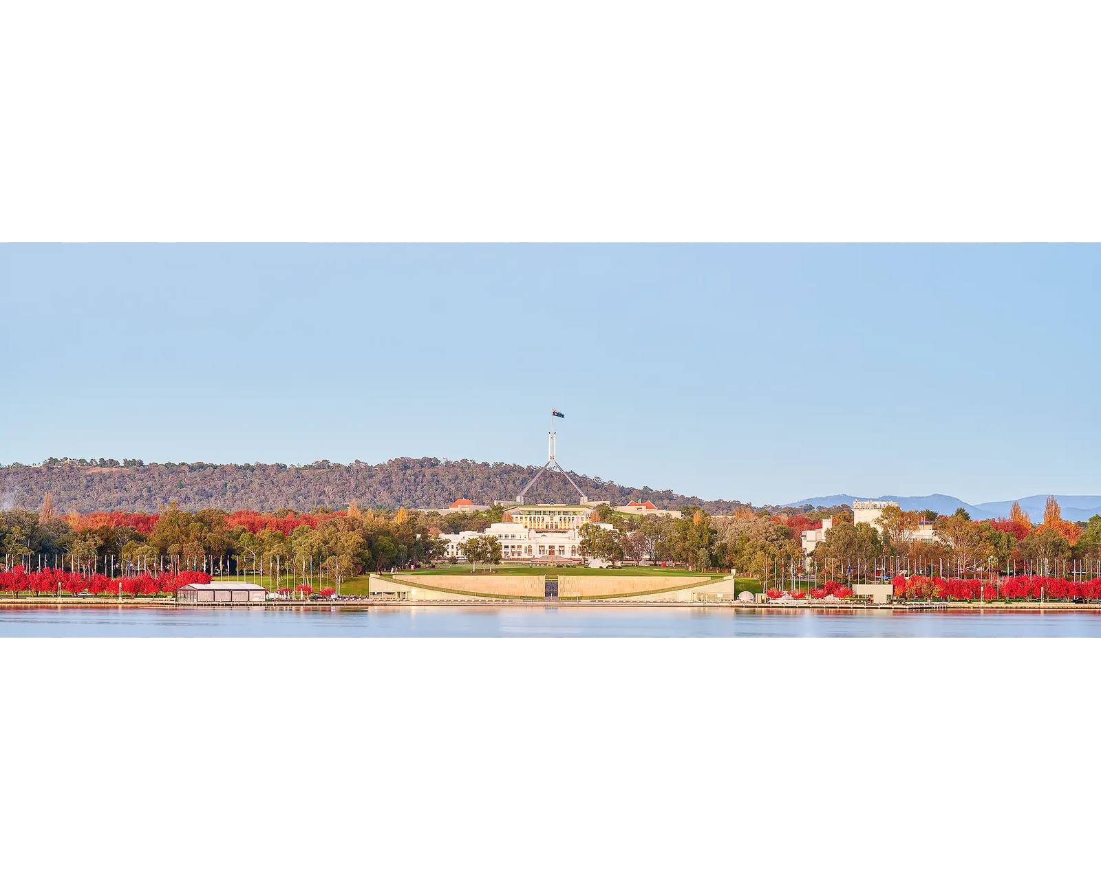 Pariamentary Reds - autumn trees in front of Old and New parliament Houses, Canberra.