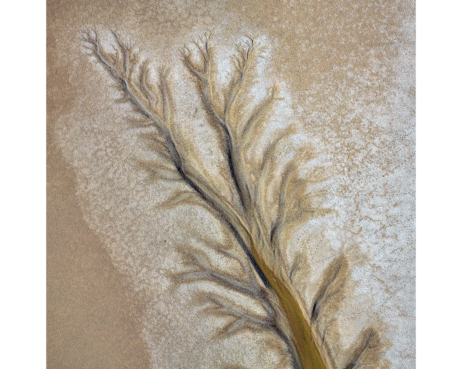 Passage. Tidal patterns of the King River, viewed from above in the Kimberly, Western Australia. 