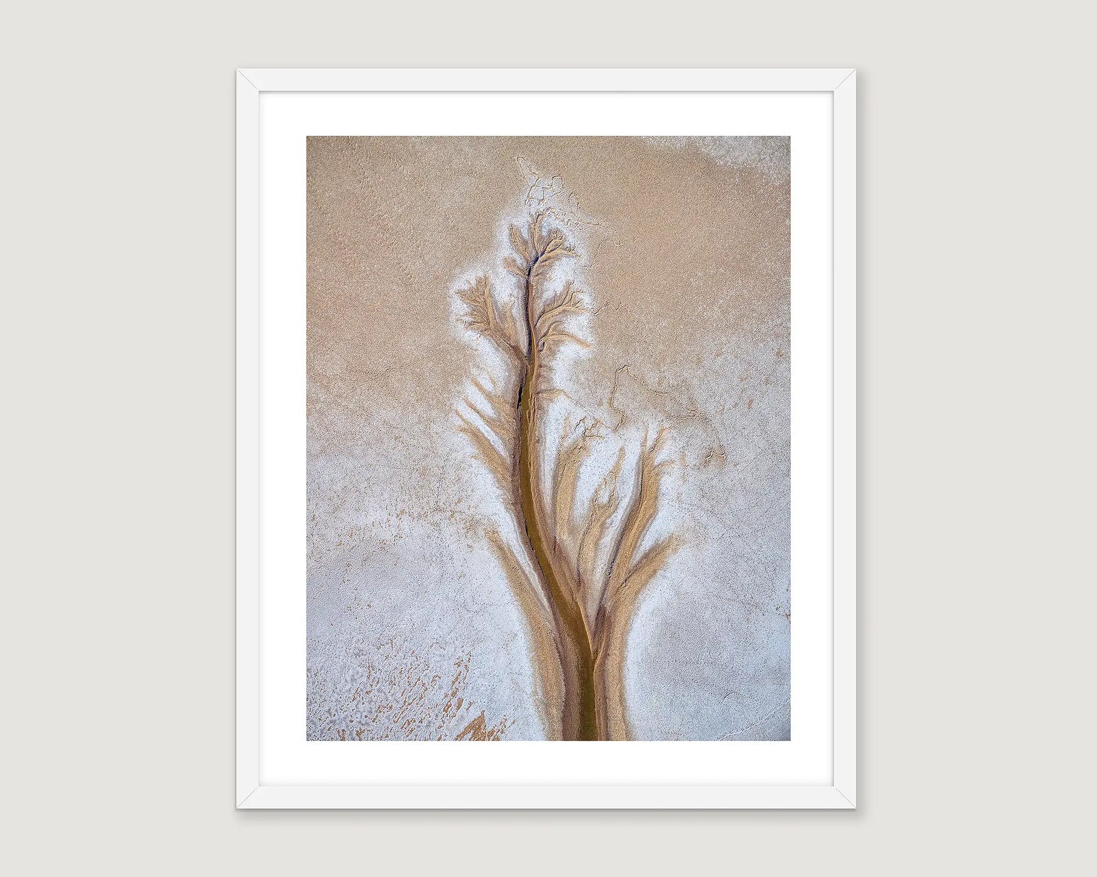 Framed abstract photograph with earthy brown tones and a tree pattern.