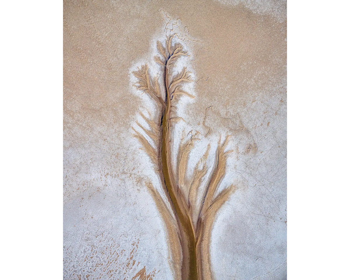 Path - Tidal patterns of the King River in the Kimberley, Western Australia.