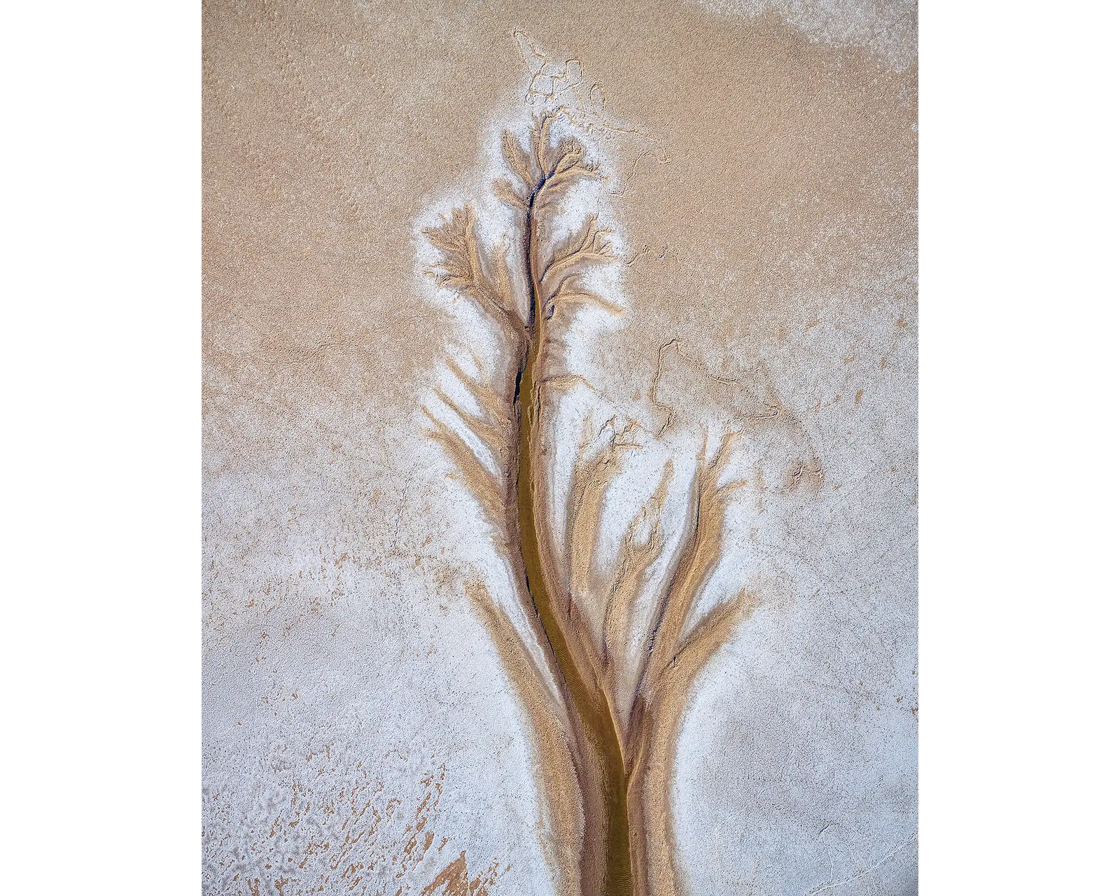 Path - Tidal patterns of the King River in the Kimberley, Western Australia.