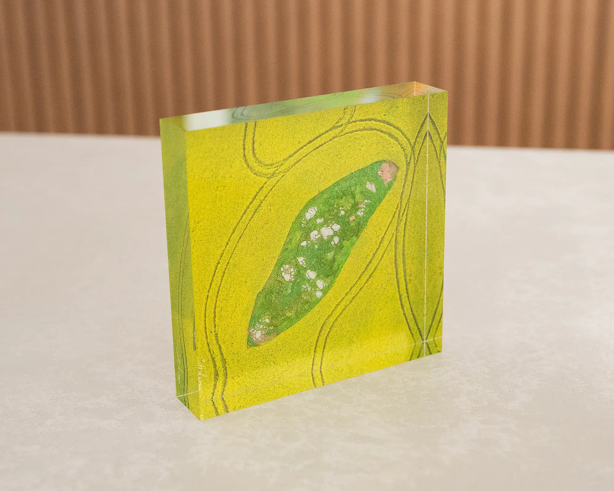 Pathways. Acrylic block aerial artwork of canola fields, Junee Shire, sitting on a desk.