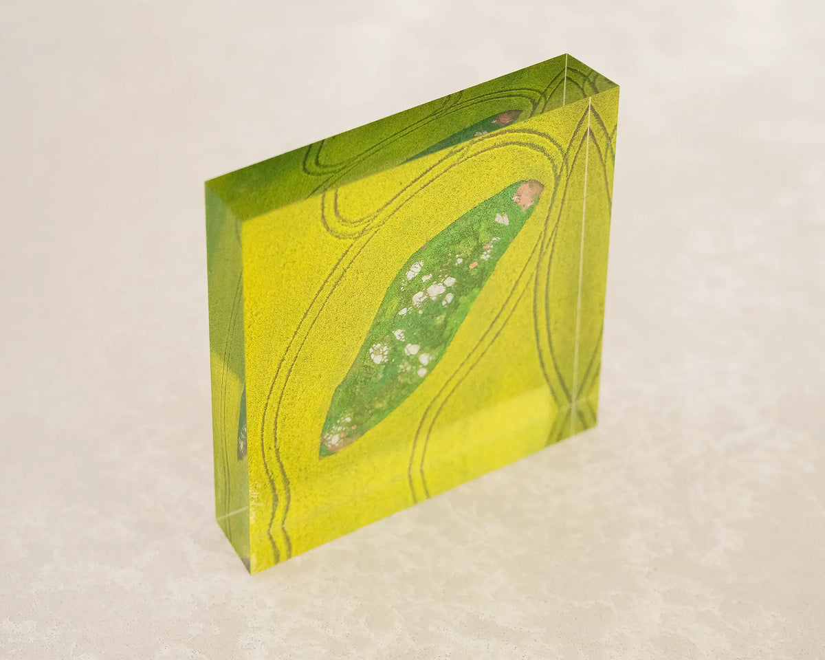 Pathways. Acrylic block aerial artwork of canola fields, Junee Shire, top corner view showing 3D effect.