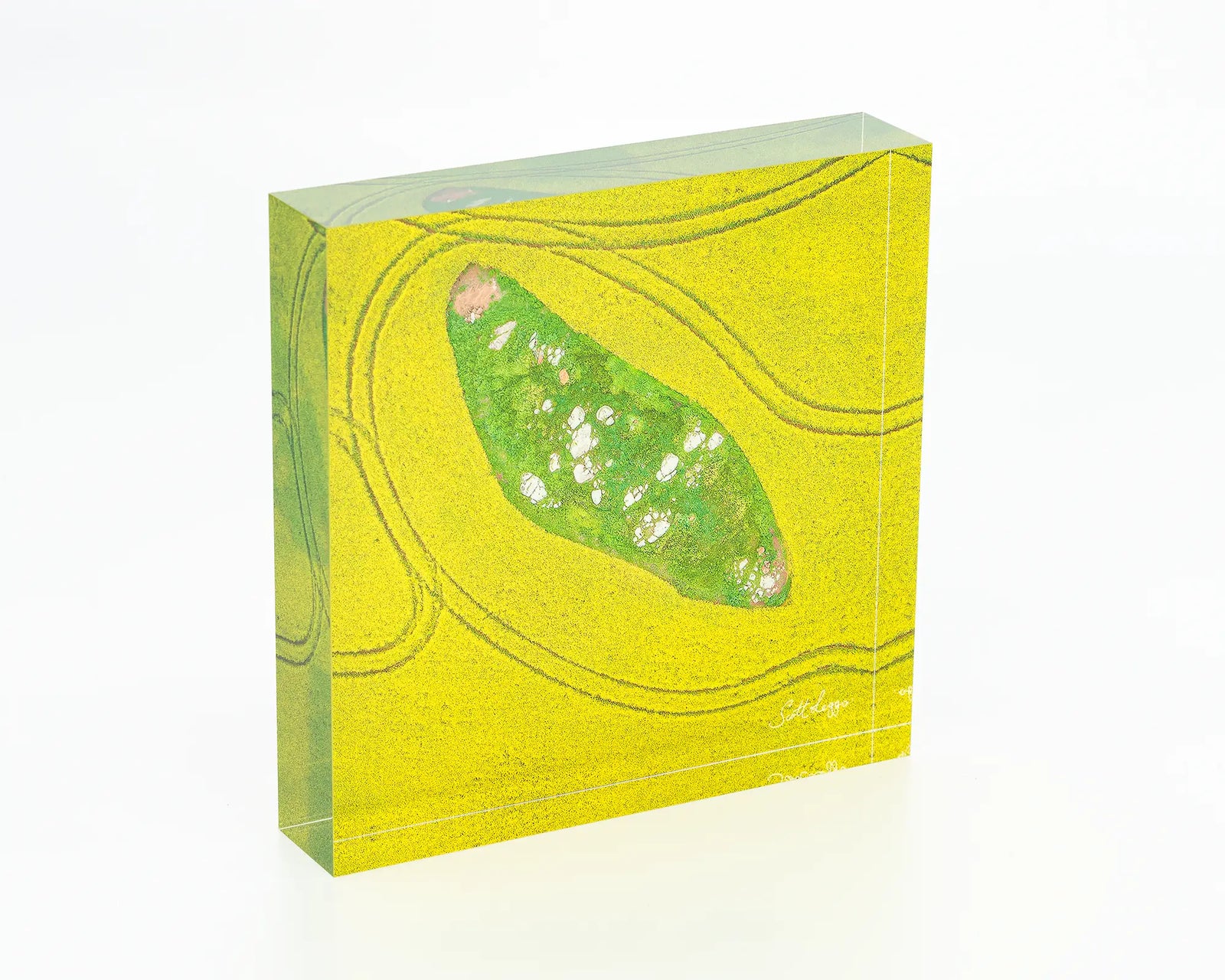 Pathways acrylic block - aerial view of canola fields in Junee Shire, NSW. 