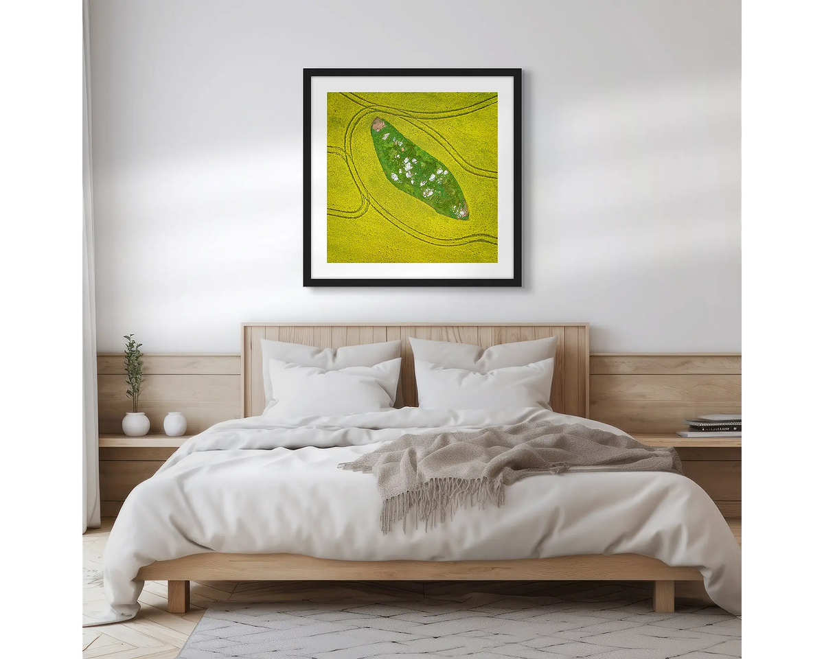 Pathways. Canola field wall art print with a black frame hung above a bed. 