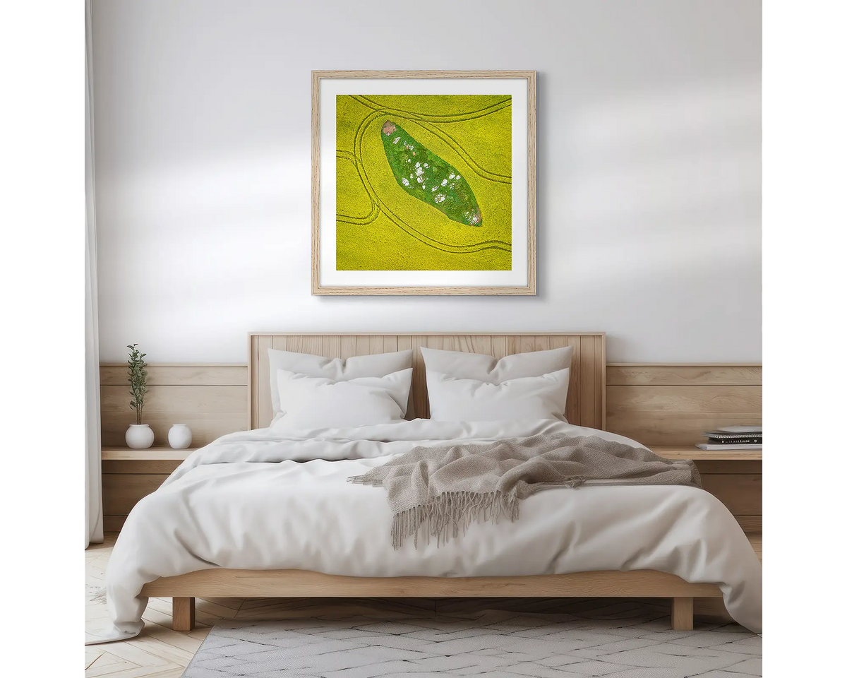 Pathways. Canola field wall art print with a timber frame hung above a bed. 