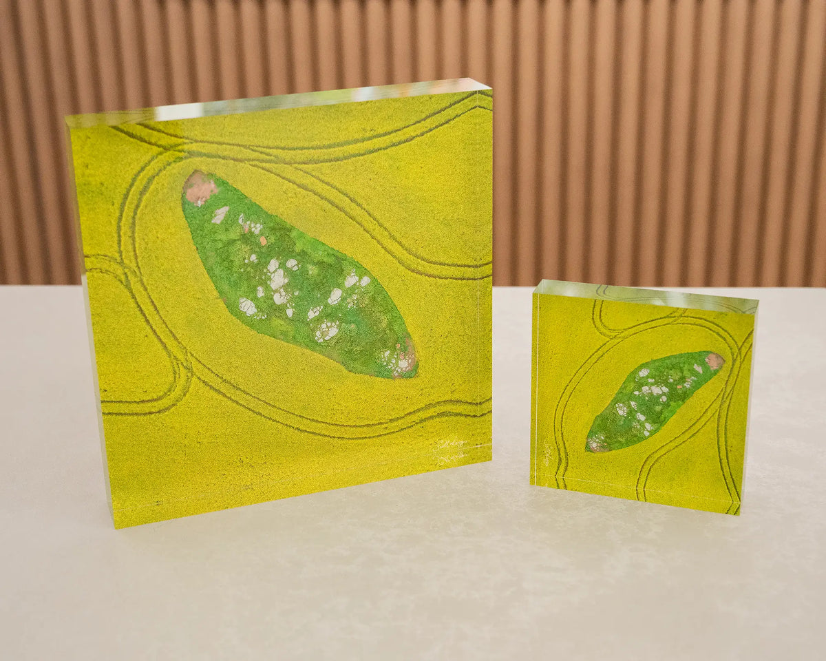 Pathways. Small and medium sized acrylic blocks of aerial artwork of canola fields, Junee Shire, side by side.
